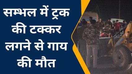 सम्भल: सड़क हादसे में गाय की मौत पर एकत्र हुए हिंदूवादी संगठन के लोग और भाजयुमो नेता