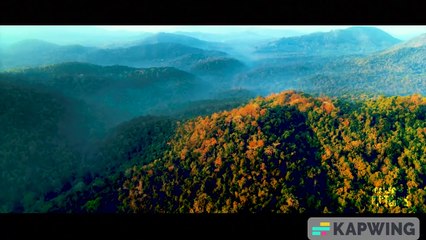 Pushpa 2: The Rise Continues 🎬