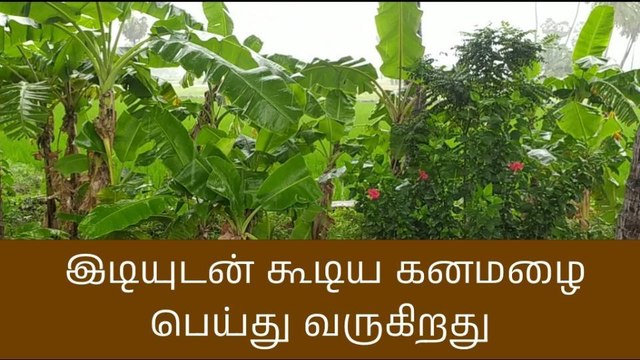சேந்தமங்கலம் சுற்றுவட்டார பகுதிகளில் பரவலாக மழை