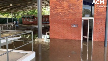 Cowra Jockey Club flood|November 16, 2022|Cowra Guardian
