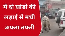 श्योपुर : दो आवारा सांडों की लड़ाई ने बाजार में मचाया उत्पात, मची भगदड़, वीडियो वायरल