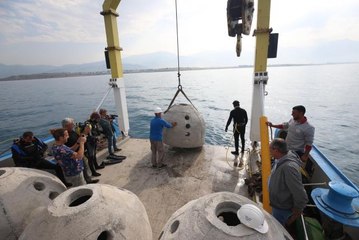 İskenderun Körfezi'ne bırakılan yapay resiflerle canlı çeşitliliği artacak