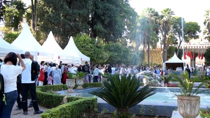 Nadia Essalmi : « Le livre, c’est comme semer des graines »