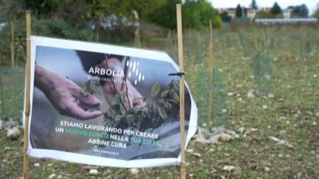 Un nuovo bosco urbano per Udine: sostenibilità secondo Genertel