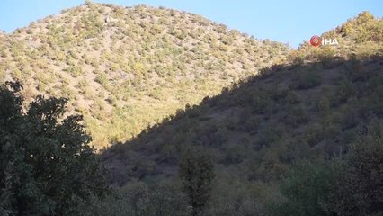 Şırnak'ın bal ormanlarından göz kamaştıran görüntüler