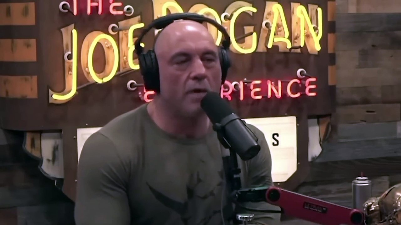 Matt Walsh - Matt Walsh Reviews Highlights From His Joe Rogan Interview