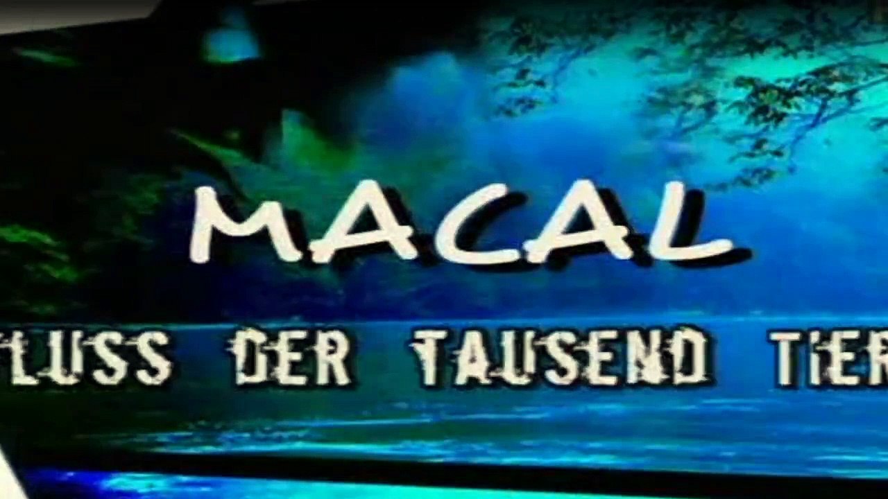 Crocodile Hunter Staffel 1 Folge 6 HD Deutsch