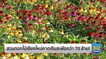 สวนดอกไม้จังหวัดเชียงใหม่คาดเงินสะพัดกว่า 70 ล้าน!