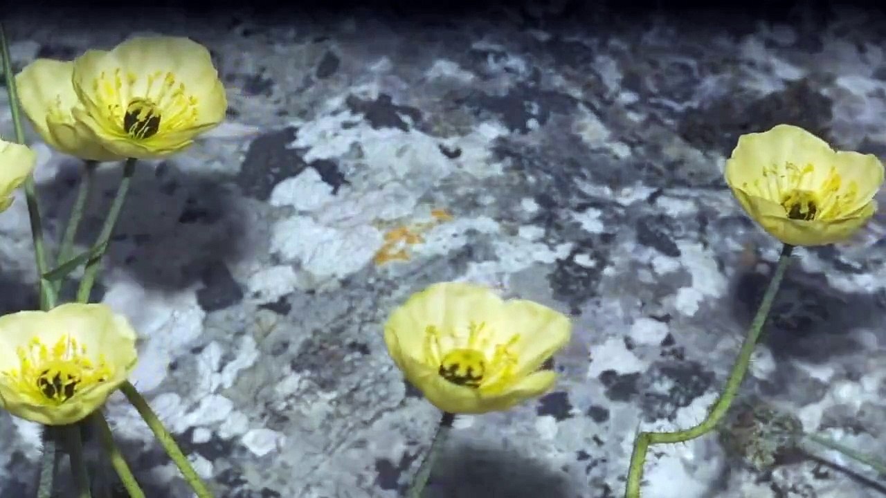 Eisige Welten Staffel 1 Folge 2 HD Deutsch