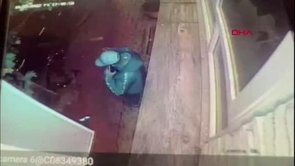 Fatih'te Cibuti ve Senegalli'nin Paralarını Çalan Etiyopyalı Yakalandı 🕵️‍♂️