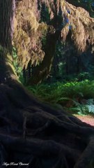 You must see the natural beauty 5