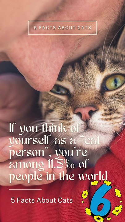 5 Facts About Cats That You Should Read Right Meow 6