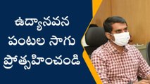 చిత్తూరు: ఉద్యానవన పంటల సాగు ప్రోత్సహించండి - జిల్లా కలెక్టర్