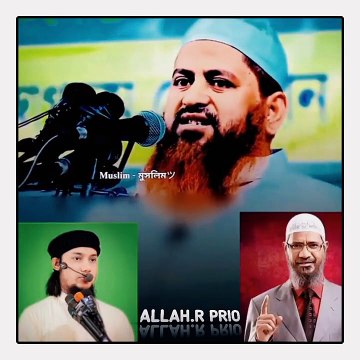 অবশেষে মাওলানা হাসান জামিল এ কী বললেন আবু ত্বহা মোহাম্মদ আদনান কে নিয়ে । abu thoha Mohammad Adnan