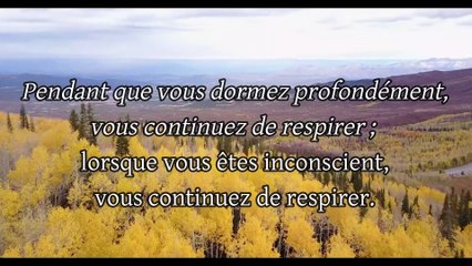 LA RESPIRATION, A QUOI CA SERT  OSHO - LE LIVRE DES SECRETS