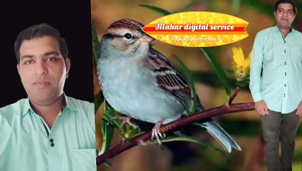 काश-वो-मेरे-प्यार-को-समझ-पाती-Heart-Touching stores