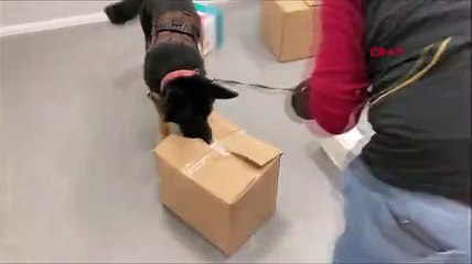 Bebek kıyafetlerine emdirilmiş uyuşturucu ele geçirildi