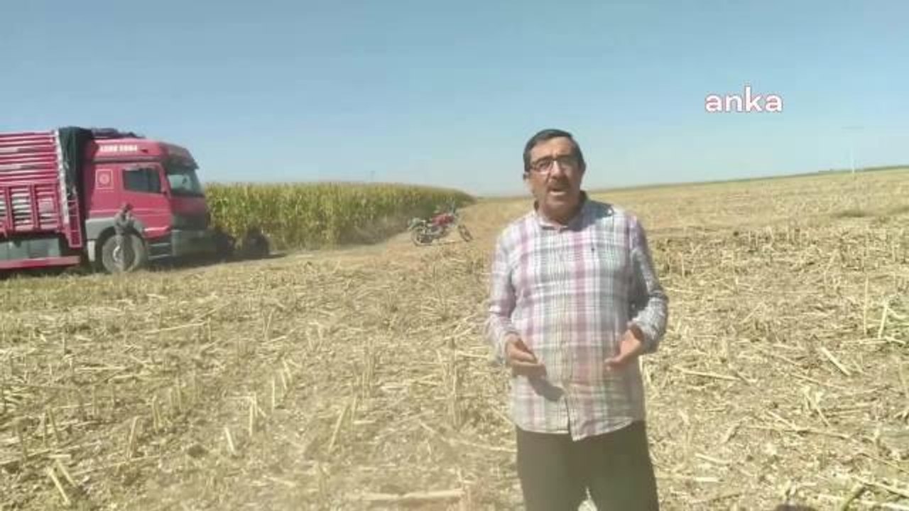 Konya Pancar ve Tarım Ürünleri Üreticileri Derneği Başkanı: "Gelecek Sene 5 Kiloluk Ayçiçek Yağını 500 Liradan Aşağı Yiyemeyeceğiz"