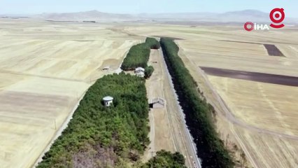 Bozkırın ortasındaki vahada kasım güzelliği