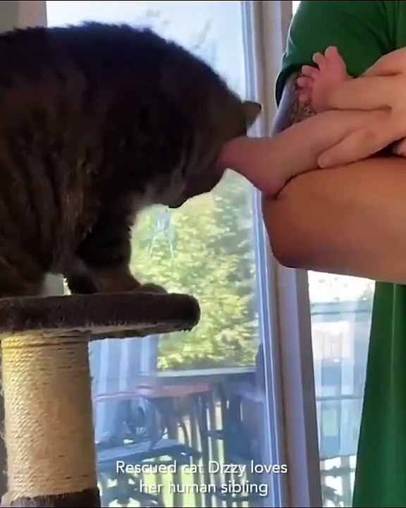 Cats and babies friends for life ❤️