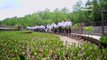 Kunjungan Pemimpin G20 Ke Taman Hutan Raya, Bali