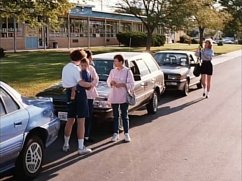 Invasión Mortal La Pesadilla de las Abejas Asesinas 1995 Español Latino - Deadly Invasion The Killer Bee Nightmare