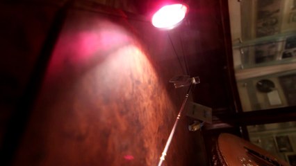 عود محمد عبدالوهاب