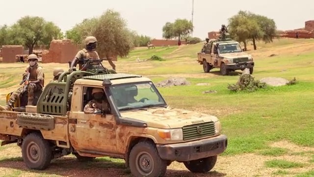 Les FAMa récupèrent un important lot de bétail des mains des ennemis dans la région de #Mopti #Mali