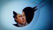 "Der Vogel ist befreit": Musk mischt Twitter auf