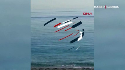 Konyaaltı sahilinde kıyıya çok yakın noktada görüldü! İşte o anlar