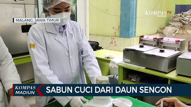 Sabun Cuci Dari Daun Sengon