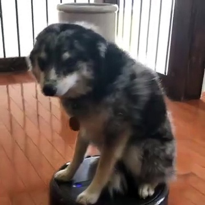first, clean the floor and assist mom