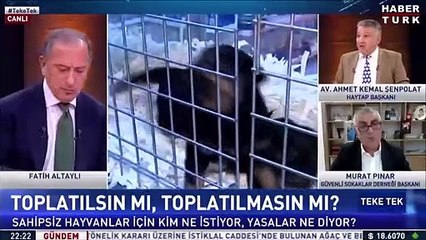 Fatih Altaylı'dan HAYTAP Başkanı'na: Beni delirtmeyin, car car car konuşuyorsunuz