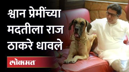 श्वान प्रेंमीवर बंधन.. राज ठाकरेंकडे धावले...राजही मदतीला सरसावले Raj Thackeray support Animal lover