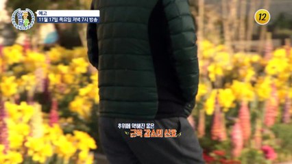 장수 근육을 지키고 무병장수하는 특급 방법!_알콩달콩 159회 예고 TV CHOSUN 221117 방송