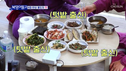 복 남매 풍도 입성! 무공해 풍도의 맛에 반한 호중이 TV CHOSUN 221116 방송