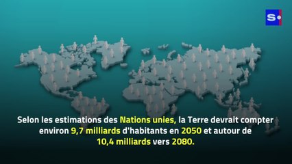 L'ONU annonce que la population mondiale dépasse les 8 milliards