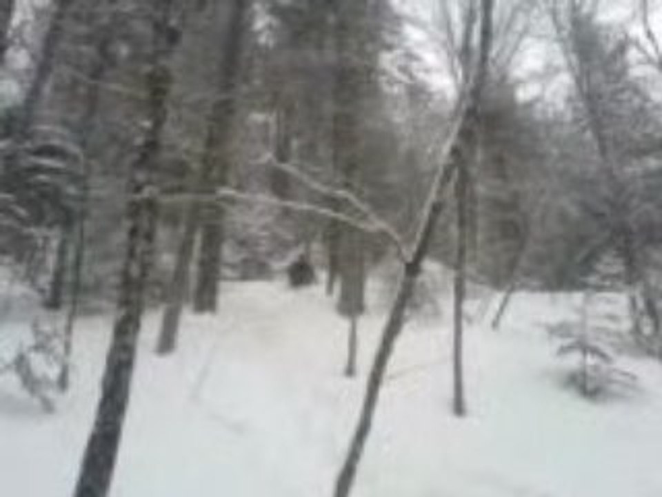 Balade raquettes 9 (descente luge)