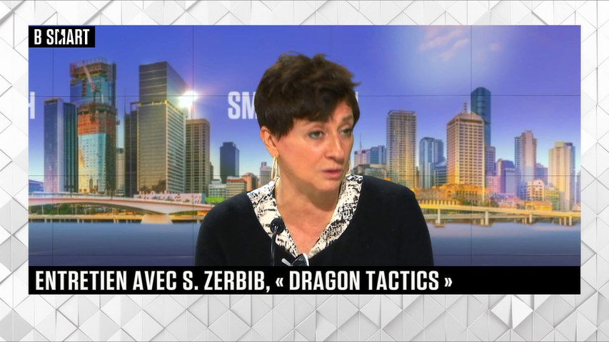 Entretien avec S. Zerbib, « Dragon tactics »