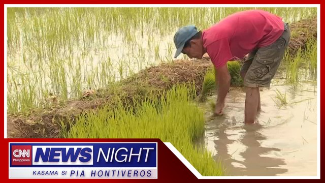 'Rice sufficiency,' nananatiling hamon sa bansa