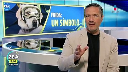 Murió Frida, la perrita rescatista de los sismos de 2017