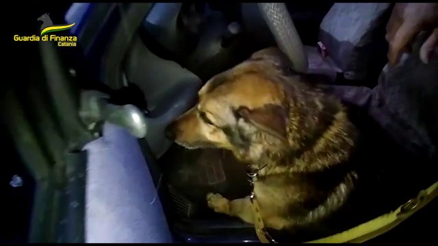 Blitz antimafia tra Sicilia e Lombardia, 24 misure cautelari