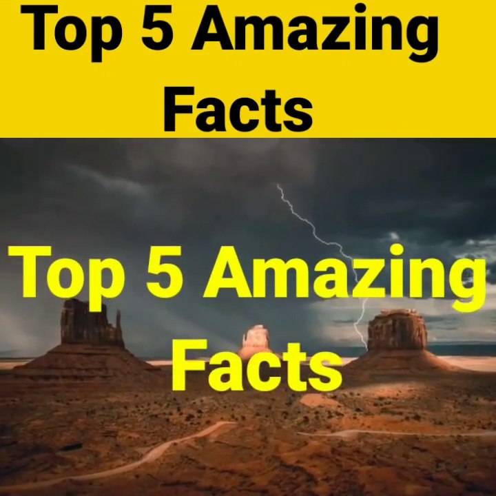 Top 5 amazing facts #Tigersaab