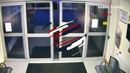 Ülkede gündem oldu... Sahibini kaybeden köpek polise başvurdu