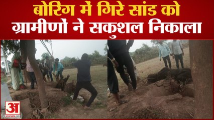 बोरिंग में गिरे सांड को ग्रामीणों ने सकुशल निकाला