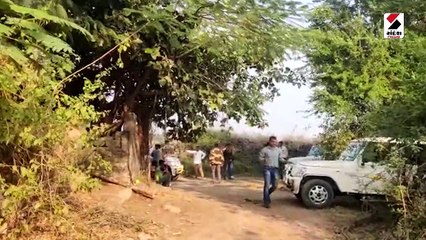 ગીર સોમનાથમાં વીજ કરંટ લાગતા સિંહણનું મોત