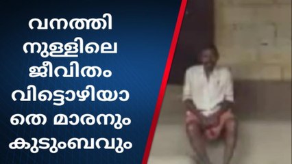 വയനാട്: വന്യമൃഗശല്യം രൂക്ഷമെങ്കിലും കാടിനകത്തു നിന്നു മാറിത്താമസിക്കാന്‍ മടിച്ച് മാരനും കുടുംബവും