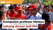 Kumpulan profesor Melayu sokong Anwar jadi PM