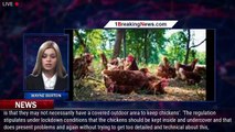 Oxo warns customers its chicken stock is 'temporarily made using non free-range' poultry - aft - 1br