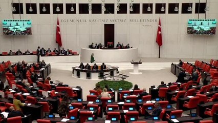 Aylin Cesur: Yeni Açılım Pencerelerinizi de Mültecilere Açtığınız Kapıları da Kapatın Artık